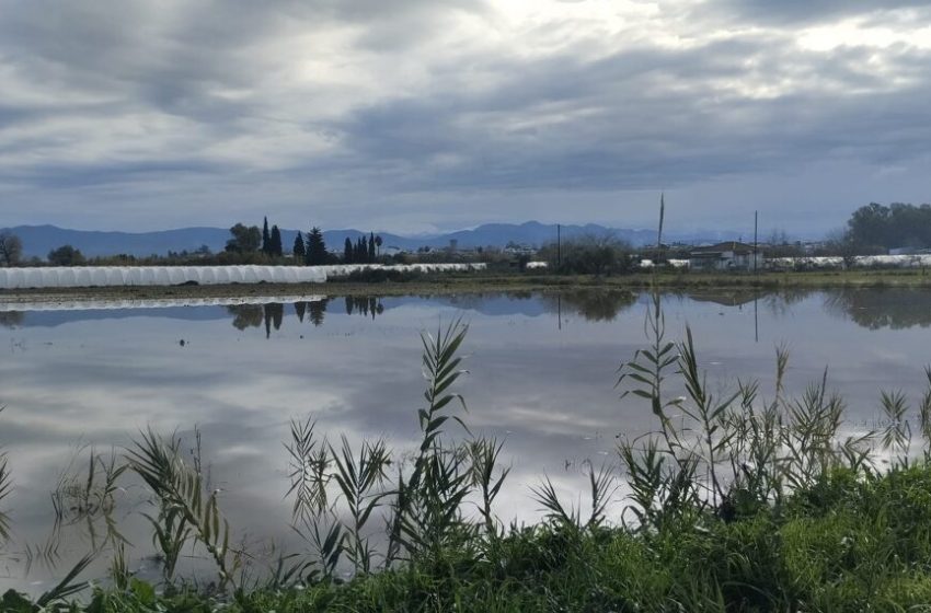  Ηλεία: Ζημιές στην περιοχή Αλμυρίκια του δήμου Ανδραβίδας Κυλλήνης από την συνεχή έντονη βροχόπτωση